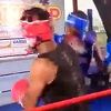 MMA borac preminuo nakon što je dobio udarac šakom u glavu tokom borbe