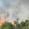 U Konjicu 79-godišnjakinja zapalila otpad i uzrokovala šumski požar