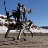 Robotski pas kućne proizvodnje naoružan je puškom i može pucati