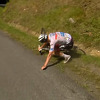Scene s Tour de Francea obišle svijet: Pogačar napadao i završio u kanalu, lider ga sačekao