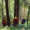 Na Romaniji spašen pilot paraglajdera koji je morao prinudno sletjeti