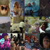 Pogledajte Kinoscope program 28. Sarajevo Film Festivala