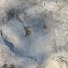 U presušenom koritu rijeke u SAD-u otkriveni tragovi dinosaura stari 113 miliona godina