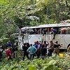 Turska: U padu autobusa sa litice poginulo pet osoba
