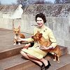 Kraljica Elizabeta obožavala je pse, imala je više od 30 corgija