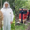 Dvorski pčelar u bizarnom ritualu saopćio kraljevskim pčelama da su dobile novog vladara