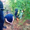 U Čapljini policija otkrila plantažu indijske konoplje i uhapsila dvije osobe