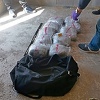 FUP u Čapljini uhapsio jednu osobu i zaplijenio 37 kilograma marihuane