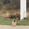 Rus mobiliziran za rat u Ukrajini se toliko napio da je zaspao u blizini aviona