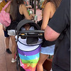 Žene "prošvercale" dijete u Disney park kako ne bi platile skupu ulaznicu, snimak postao hit