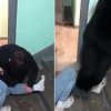 Geraščenko podijelio video u kojem ruski mladić lomi nogu prijatelju da izbjegne mobilizaciju
