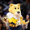 Maskota Denver Nuggetsa zarađuje više novca nego većina košarkaša na svijetu