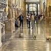 Amerikanac u Vatikanu tražio da vidi papu pa razbio dvije antičke statue