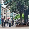 Policija i dalje traga za Enesom Odobašićem, osumnjičenim za ubistvo u Bihaću