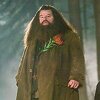 Zvijezda filmova o Jamesu Bondu i Harryju Potteru Robbie Coltrane preminuo u 72. godini