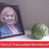 Bizarni live stream britanskog tabloida: Može li Liz Truss nadživjeti zelenu salatu?
