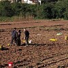 U BiH se od danas provodi popis poljoprivrede, prvi put nakon više od 60 godina