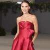 Nina Seničar u elegantnom izdanju plijenila pažnju na gala večeri Američke filmske akademije