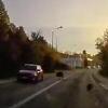 Divlja svinja istrčala na cestu u Vogošći i udarila u automobil