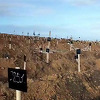 Nepregledno polje grobova u Mariupolju: Rusi umjesto imena pišu brojeve