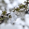 Na vrhovima bh. planina danas će padati snijeg, u ostatku zemlje kiša