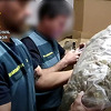 Španska Civilna garda zaplijenila marihuanu vrijednu 64 miliona eura