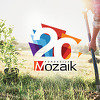 20. rođendan Fondacije Mozaik: 20 dana sadnje za 20 godina saradnje