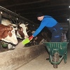 Kako je biti farmer u BiH: Cijeli život posvetite proizvodnji mlijeka, a inflacija vam sve uništi