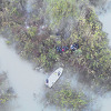 Pripadnici Granične policije BiH spasili 33 migranta koje je Drina "zarobila"