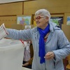 Izbori za upražnjena načelnička i gradonačelnička mjesta 5. februara sljedeće godine