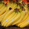 Znate li šta znače naljepnice na bananama, otkrivaju važne podatke
