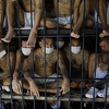 El Salvador je država u kojoj je svaki pedeseti muškarac iza rešetaka