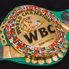 WBC planira napraviti kategoriju za transrodne boksere