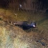 Prevrnuo se automobil kod Vogošće, povrijeđena jedna osoba
