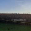 Pao sportski avion na području Prijedora, poginule najmanje dvije osobe