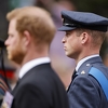 Harry tvrdi da ga je William fizički napao zbog Meghan: Strgao mi je ogrlicu i bacio me na pod