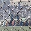 Talibani javno bičevali devetoricu muškaraca na spotskom stadionu