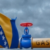 Bećirović i Komšić za državni zakon o gasu, Cvijanović glasala protiv