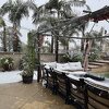 Palme u snijegu: Neviđena sniježna oluja pogodila Kaliforniju, 120.000 ljudi bez struje