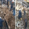 Čuda su moguća: Tri sedmice nakon zemljotresa u Turskoj iz ruševina spašen konj