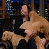 Keanu Reeves u emisiji se igrao sa štencima, ljudi oduševljeni: Nikad nije bio tako sretan