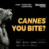 Da li je vaša kreativnost lavlja? "Young Lions BiH" vas poziva da pokažete šta znate