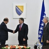 Ukoliko Ustavni sud poništi Schmidtovu odluku, postoji mogućnost da vrati stare odredbe Ustava FBiH