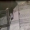 Snimile ih nadzorne kamere: Mostarki iz hodnika kuće ukradena torba s većom količinom novca