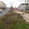 Općina Novo Sarajevo: Posječena stabla uz prugu su bila oštećena, bit će zasađena nova