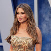 Sofia Vergara podijelila fotografiju s početka karijere, pozirala u bikiniju za kalendar