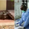 Potencijalna bomba bacila: Pobunjenici u Sudanu zauzeli laboratorij za zarazne bolesti
