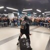 Navijači Partizana u 6 sati okupirali aerodrom, pogledajte kako su dočekali košarkaše iz Madrida