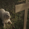 Ovaj spot rasplakao je milione ljudi širom svijeta: Uništio mi je život, nemojte gledati