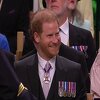 Harry na krunisanju smješten uz ozloglašenog princa Andrewa, ipak nije skidao osmijeh lica